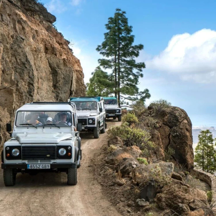 Jeep Safari